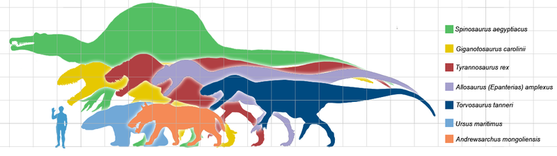 Вымер ли трилобит и какими были динозавры? SKUNK69