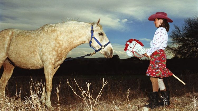 Детский Hobby-Horse Детский Hobby-Horse