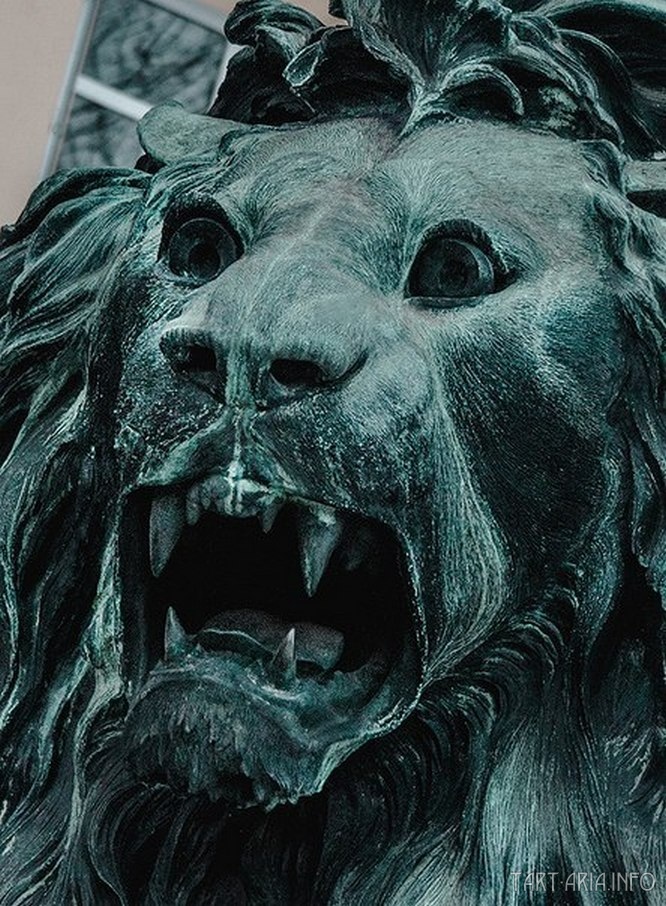 Нахабинские львы: В мире животных и людей kadykchanskiy