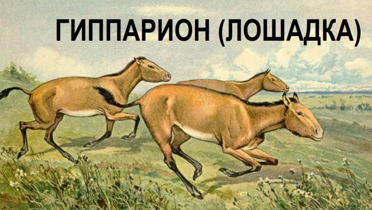 Три сажени поверх Тмутаракани kadykchanskiy Три сажени поверх Тмутаракани kadykchanskiy