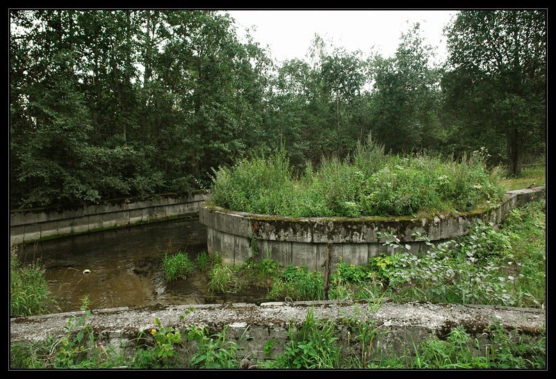 древние каналы Петергофа