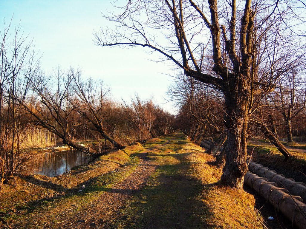 древние каналы Петергофа